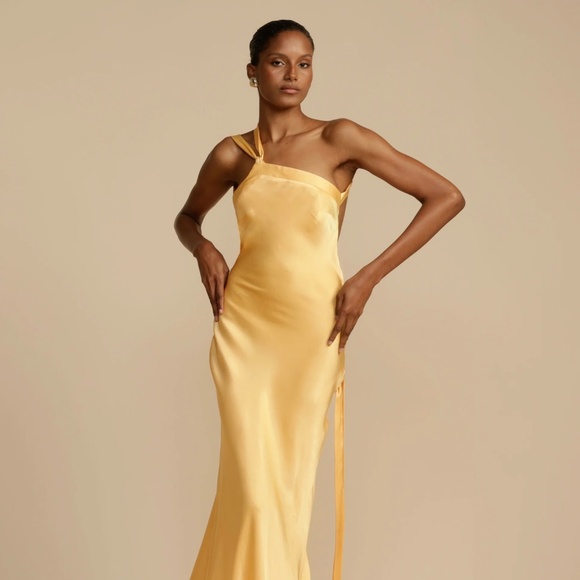 Arcina Ori Dresses & Skirts - Arcina Ori BRAND NEW Monique Dress small